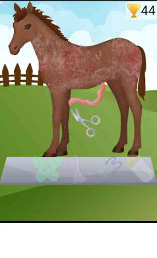 Horse Pregnancy Surgery 2 1