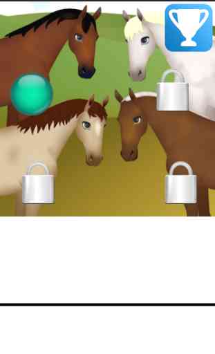 Horse Pregnancy Surgery 2 3