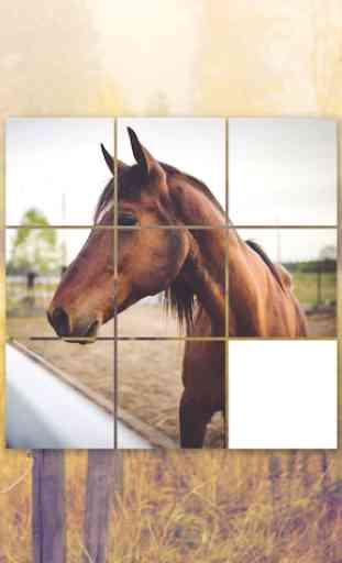 Horse Puzzles Collection 2