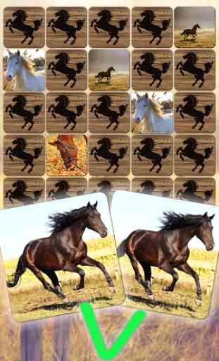 Horse Puzzles Collection 3