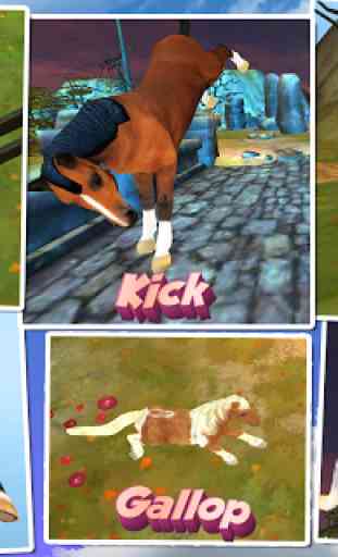 Horse Quest 4