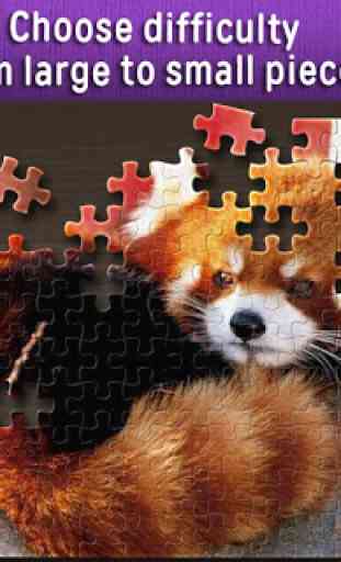 Jigsaw Puzzles World 1