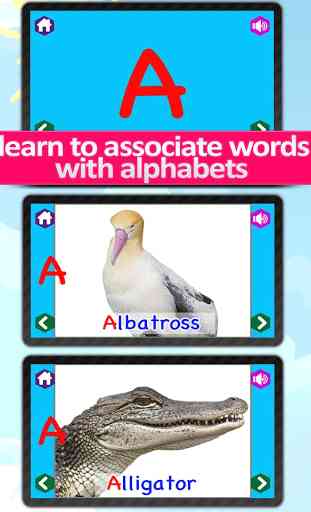 Kids Animal ABC Alphabet sound 3