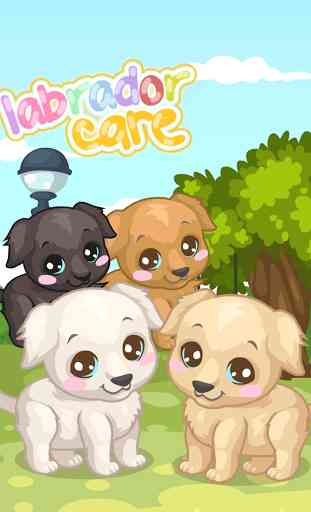 Labrador Puppy Care 1