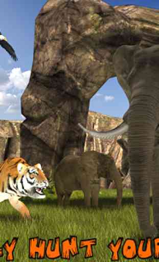 Lion Vs Tiger Wild Adventure 3