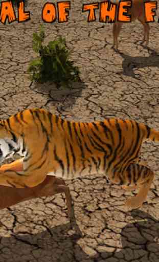 Lion Vs Tiger Wild Adventure 4