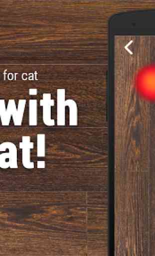Meow: Laser point for cat 2
