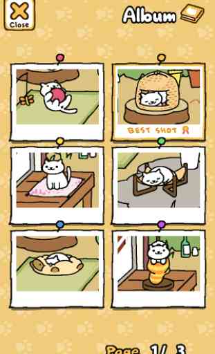 Neko Atsume: Kitty Collector 4