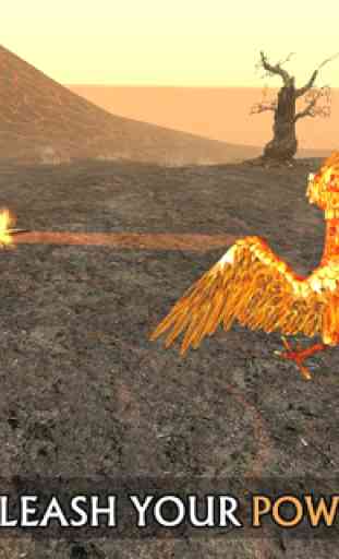 Phoenix Sim 3D 4