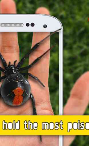 Spider On Hand: Crazy Joke 1