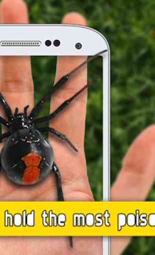 Spider On Hand: Crazy Joke 3