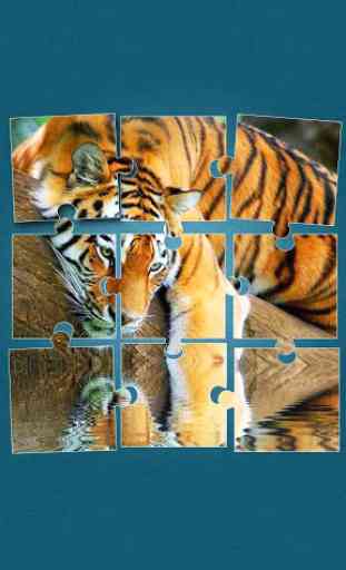 Tigers Jigsaw Puzzle 1