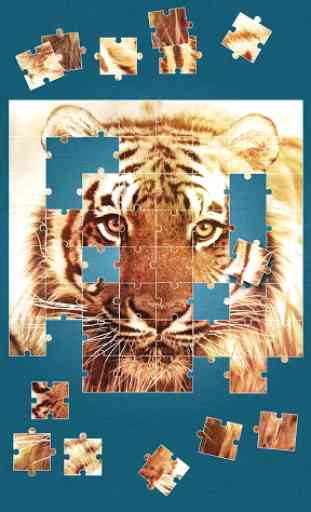 Tigers Jigsaw Puzzle 3