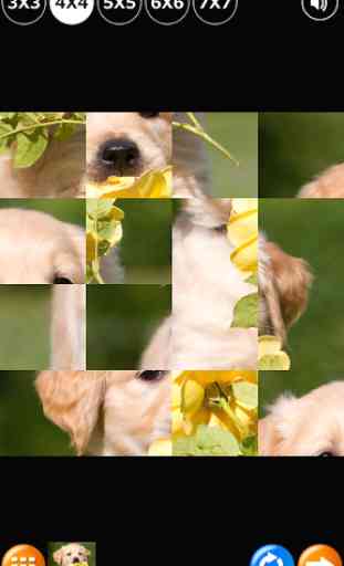 Tile Puzzle: Cute Puppies 4