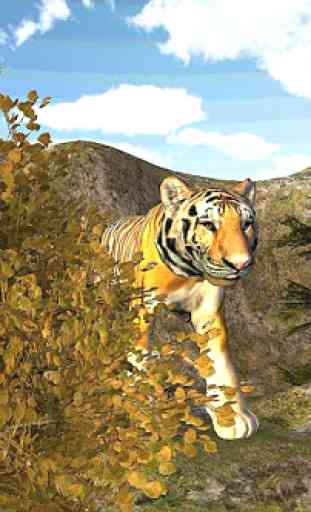 Top Simulator Tiger 1