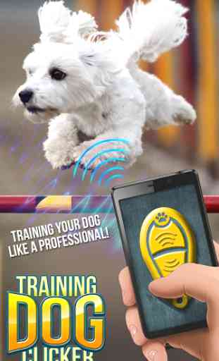 Training Dog Clicker 1