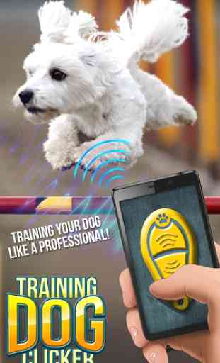Training Dog Clicker 4