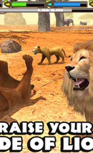 Ultimate Lion Simulator 3