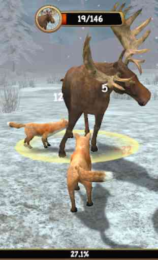 Wild Fox Sim 3D 3