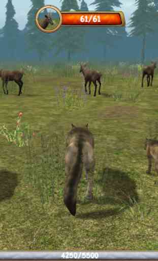 Wild Wolf Simulator 3D 3