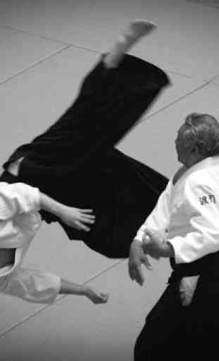 Aikido training 2