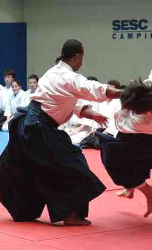 Aikido training 3