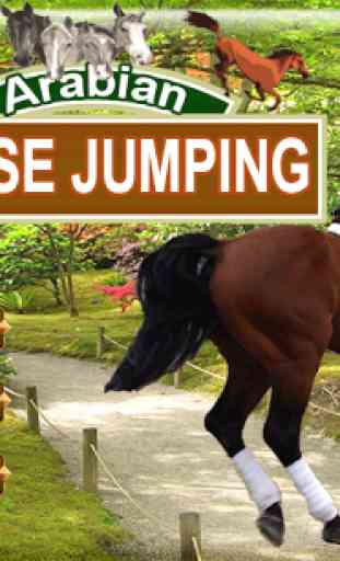Arabian Horse Jumping 1