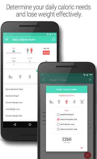 BMI and Weight Loss Tracker 4