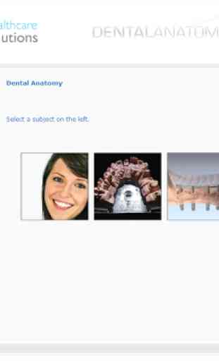 Dental Anatomy 2