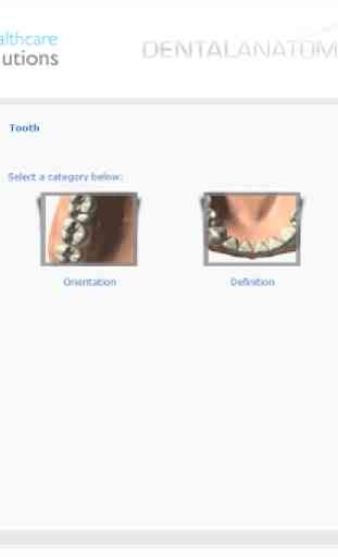 Dental Anatomy 3