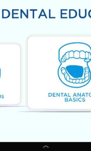 Dental Education (Oral-B) 1