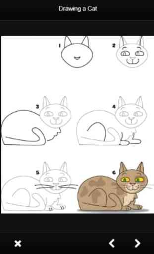 Drawing a Cat 2