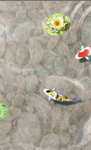 Feed the Koi fish Kids Game 3