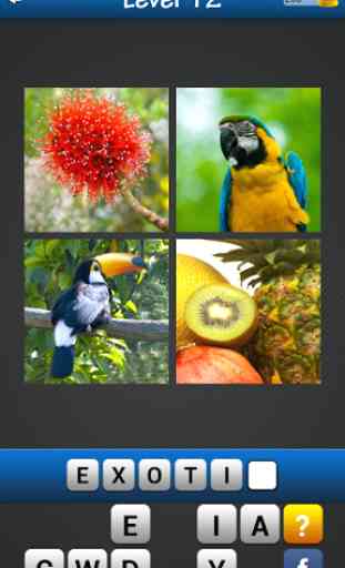 Find the word! ~ 4 pics 1 word 1