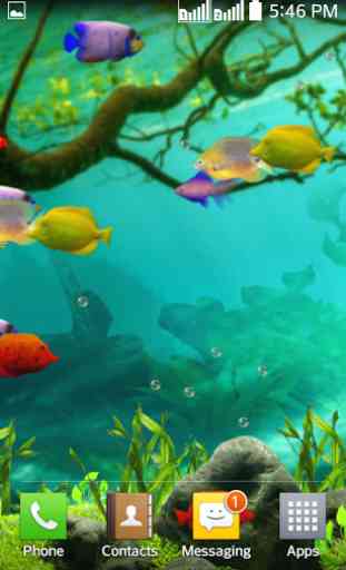 Fishes Live Wallpaper 2016 2