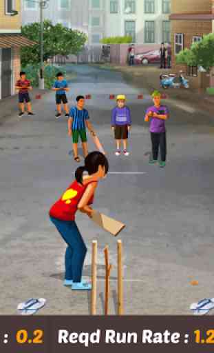 Gully Cricket Game - 2016 2