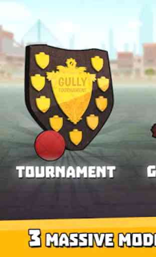 Gully Cricket Game - 2016 4