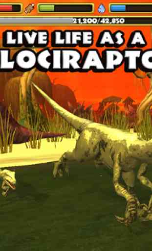 Jurassic Life: Velociraptor 1