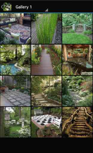 landscaping ideas 2