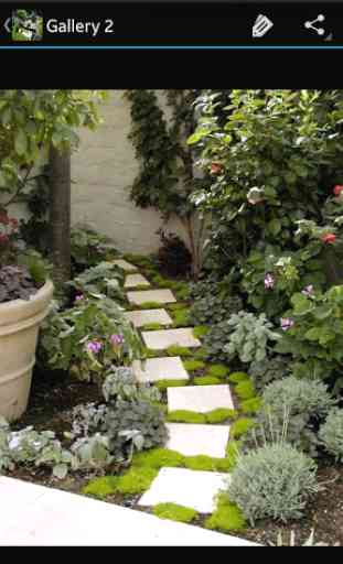 landscaping ideas 4