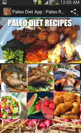 Paleo Diet App : Paleo Recipes 1