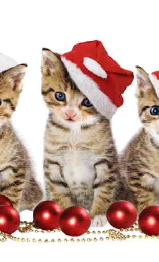 Pet Christmas Wallpaper HD 2