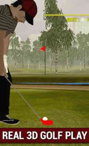 Professional Golf Play 3D 1