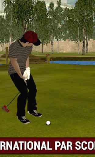 Professional Golf Play 3D 2