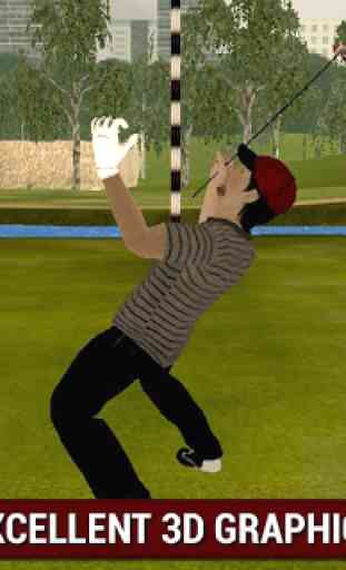 Professional Golf Play 3D 3