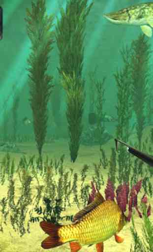 Spearfishing 3D 1