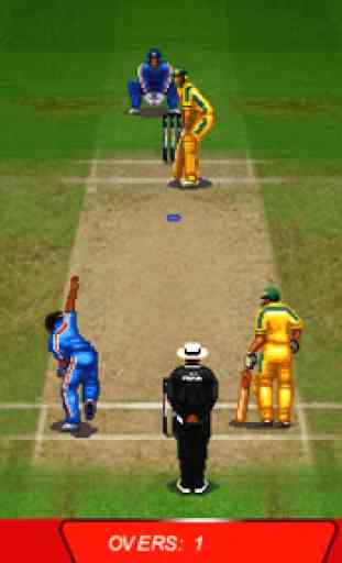 T20 Cricket Game 2016 4
