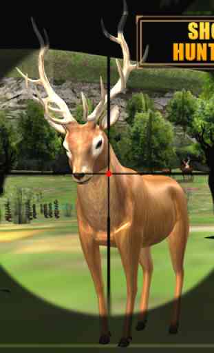 Deer Hunting - Sniper Shooting 3