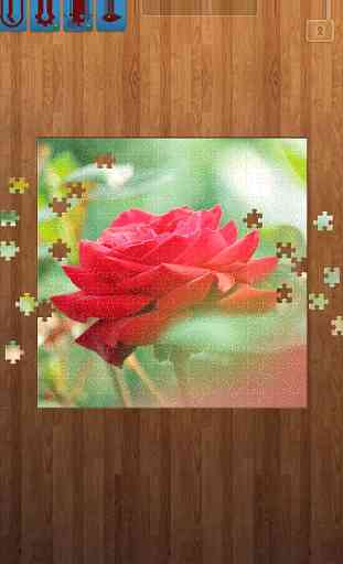 Flower Jigsaw Puzzles 1