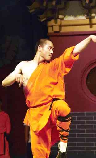 Kung Fu and Martial Arts 2